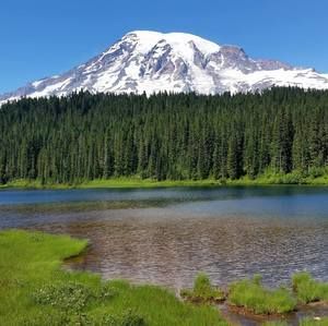 Meet your Posher, Rita